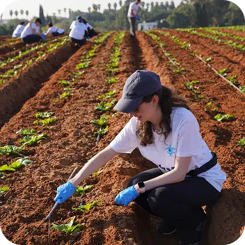 Volunteer in Israel